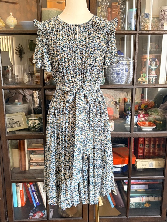 Ann Taylor Dresses & Skirts - Ann Taylor, NWT Pleated Floral Dress with Sash. Size LP